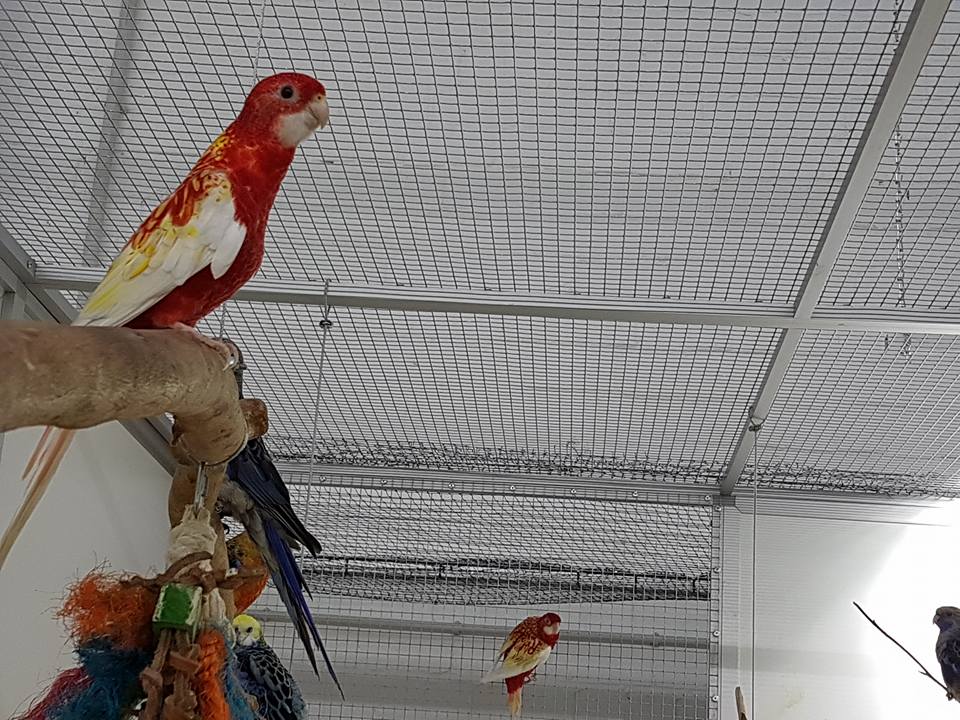 Biggest pet shop in the world